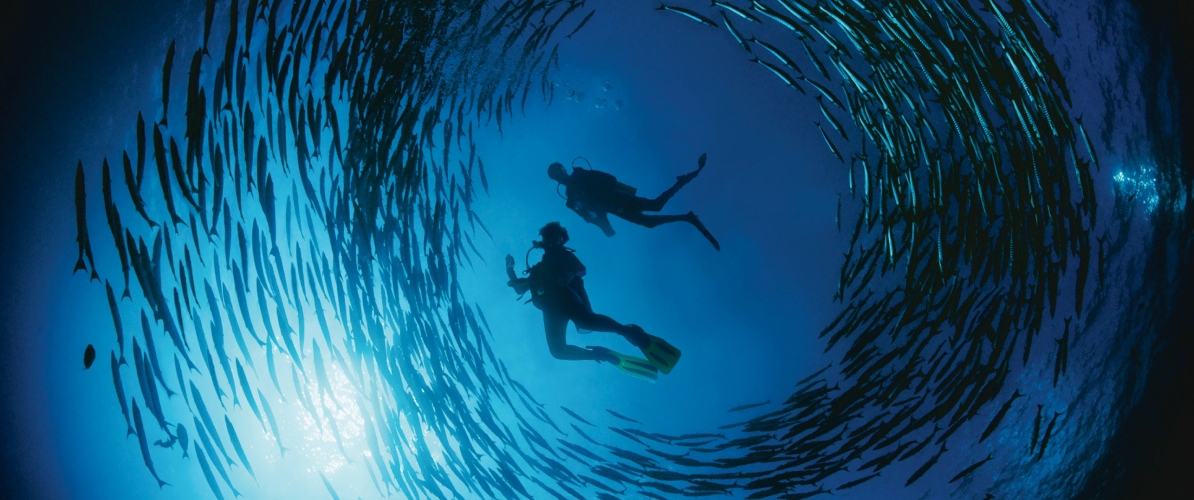 A breathtaking underwater scene of two scuba divers surrounded by a swirling of fish in the deep blue waters of Pulau Sipadan