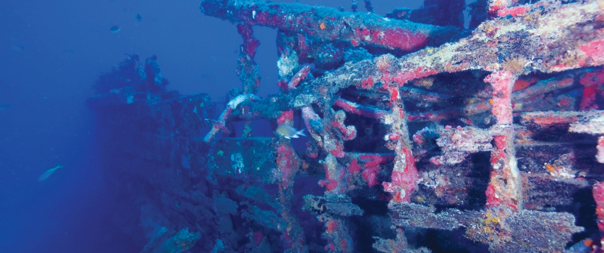 A sunken shipwreck encrusted with corals and marine growth lies deep underwater at Pulau Tenggol, Malaysia.