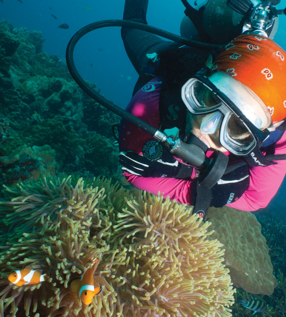 A scuba diver closely observing marine life near a coral reef in Pulau Tioman